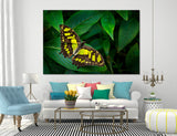 Yellow Butterfly Canvas Print #8019
