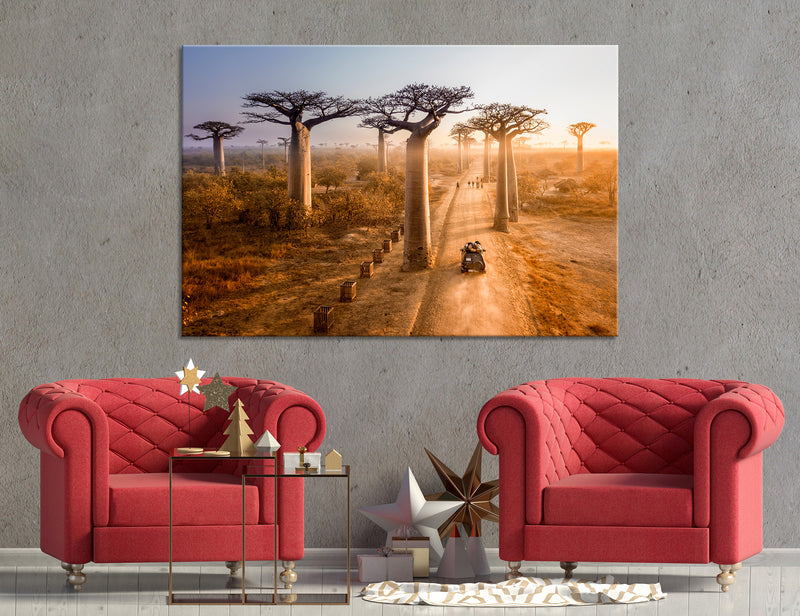 Baobab Canvas Print #7560