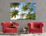 Palm Frizzle Canvas Print #7030