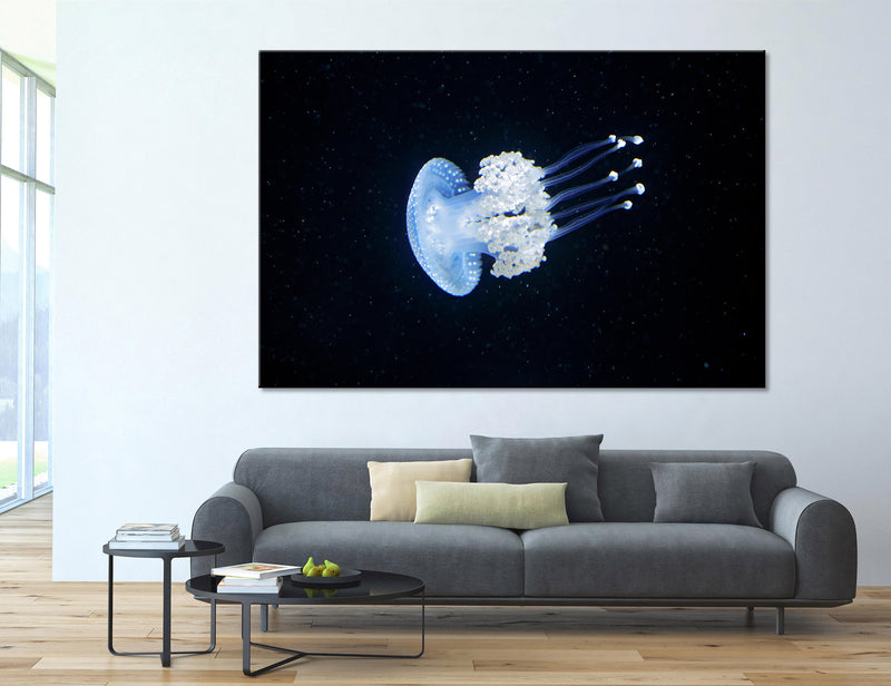 Jellyfish Canvas Print #8045