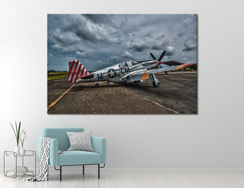 P51 Canvas Print #3806