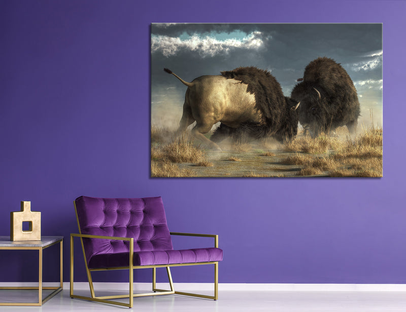 Bison Battle Canvas Print #8189
