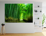 Bamboo Thickets Canvas Print #7071