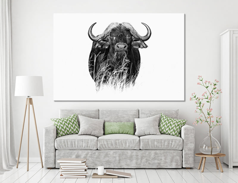 Buffalo Canvas Print #8007