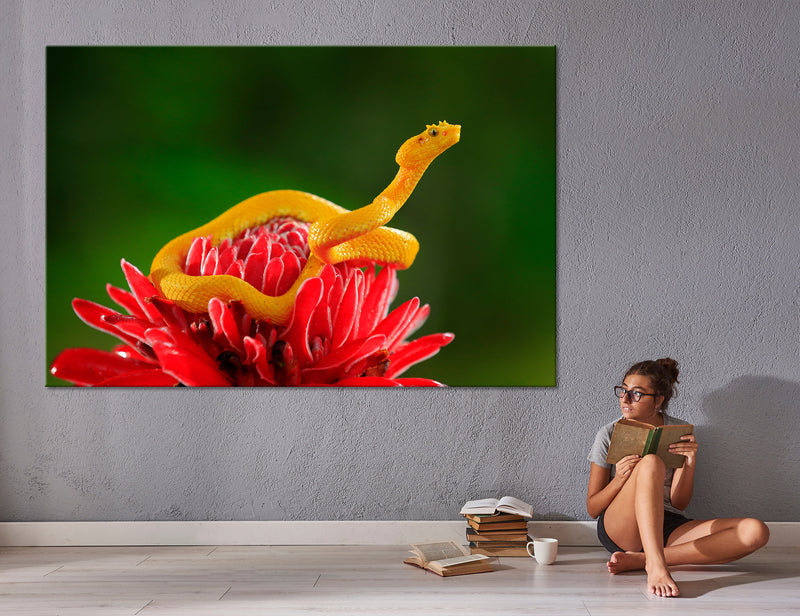 Snake Canvas Print #8030