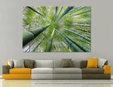 Arashiyama Bamboo Grove Canvas Print #7245