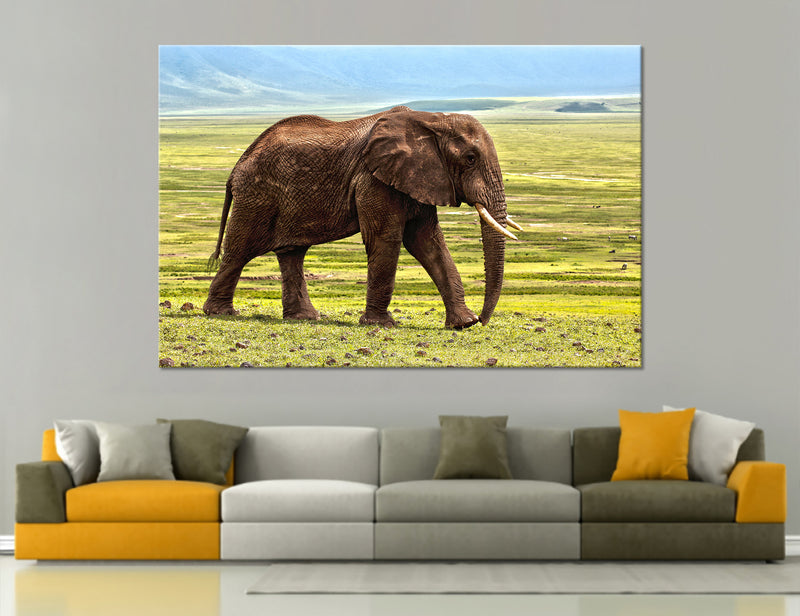 Africa Canvas Print #8161