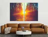 Forest Road Under Sunset Canvas Print #7087