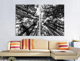 Treetops Canvas Print #7105