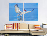 Pelican Canvas Print #8047
