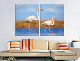 Flamingo Canvas Print #8010