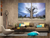 Baobab Canvas Print #7247