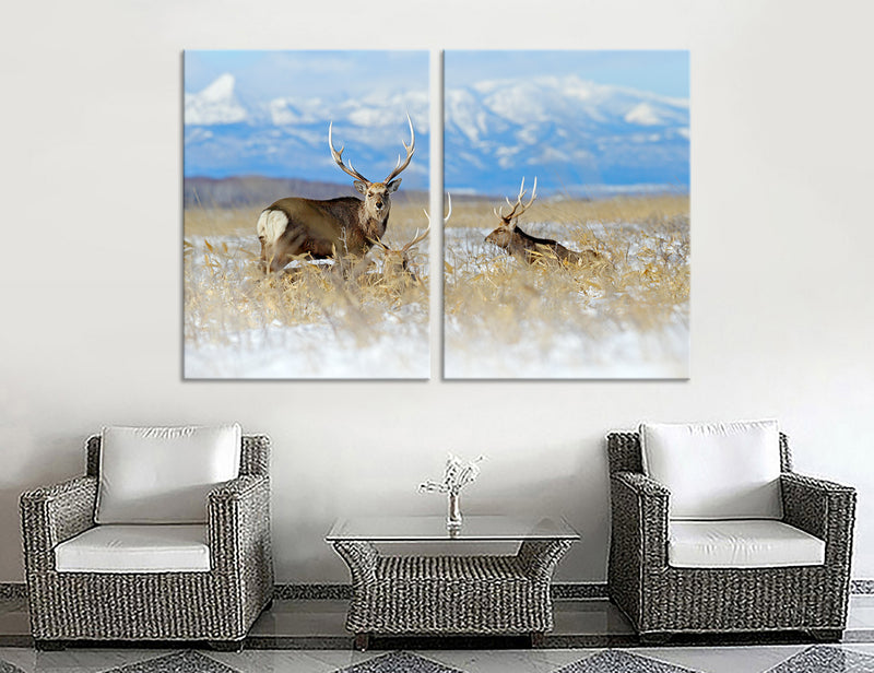 Deer Canvas Print #8049