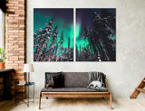 Polar Lights Canvas Print #7090