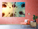 Tops of Palms Canvas Print #7106