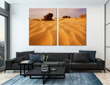 Desert Canvas Print #7112