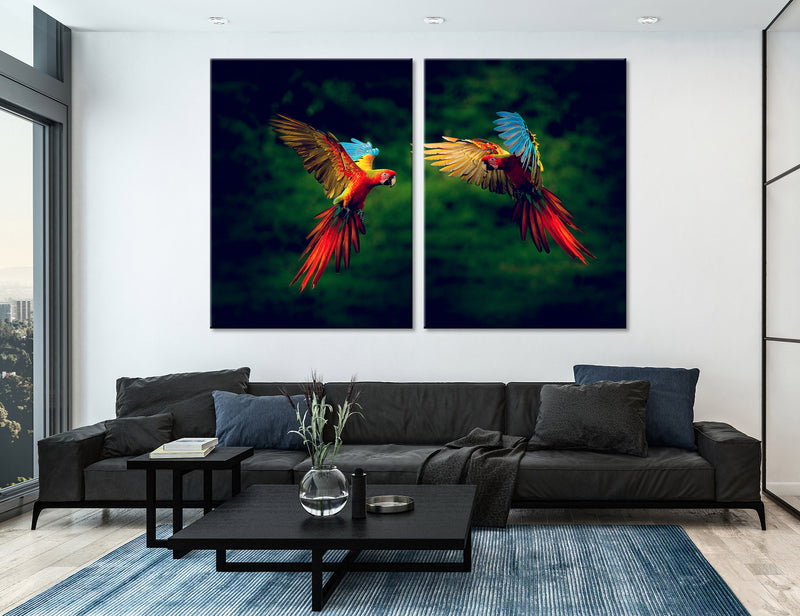 Parrots Canvas Print #8051