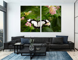 Motley Butterfly Canvas Print #8053