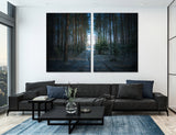 Forest Road Canvas Print #7083