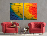 Bright Feathers Canvas Print #8034