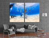 Diving Canvas Print #7164