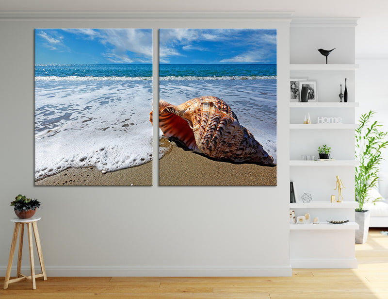 Shell Canvas Print #7177