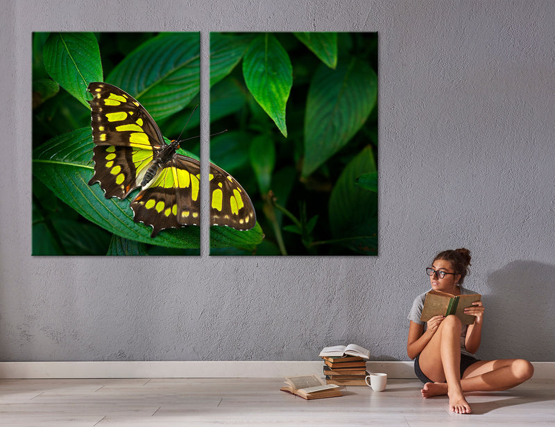 Yellow Butterfly Canvas Print #8019
