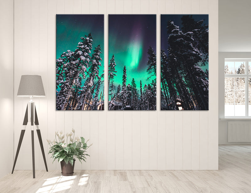 Polar Lights Canvas Print #7090