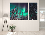 Polar Lights Canvas Print #7090