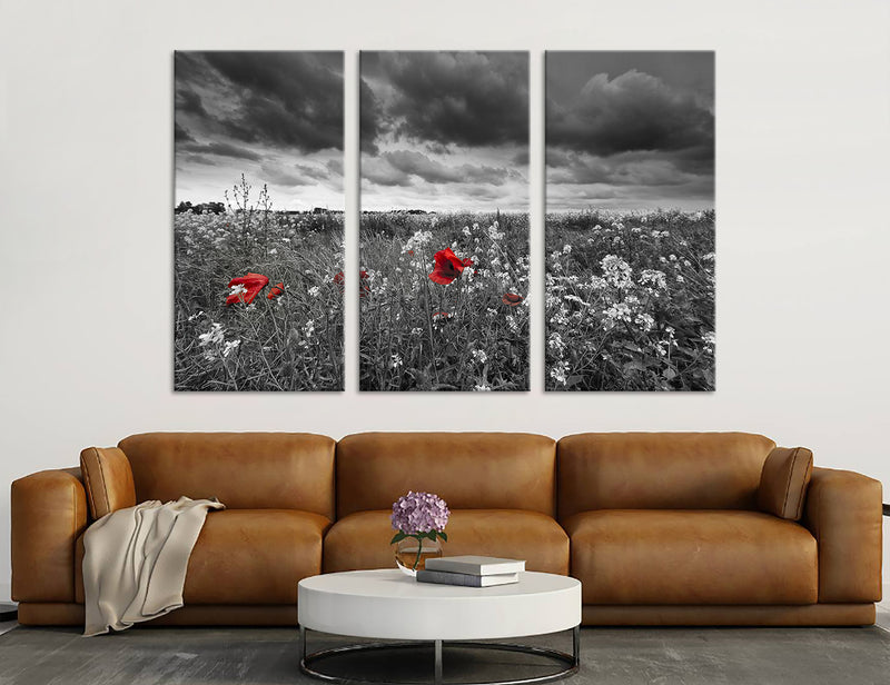 Red Poppy Canvas Print #7535