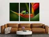 Funny Frog Canvas Print #8020