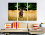 Deer Canvas Print #8006