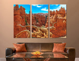 Bryce Canyon Canvas Print #7097
