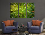 Treetops Canvas Print #7127