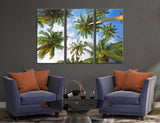 Palm Frizzle Canvas Print #7030