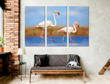 Flamingo Canvas Print #8010