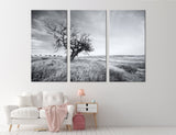 Tree in Field Canvas Print #7082