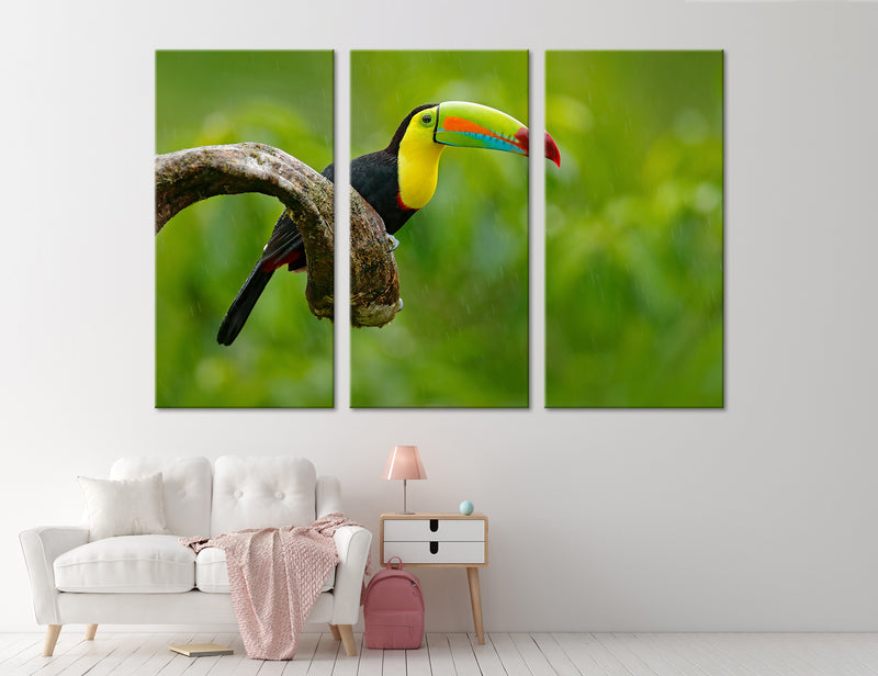 Toucan Bird Canvas Print #8022