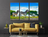 Zebras Canvas Print #8043
