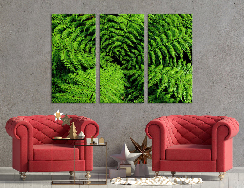 Fern Canvas Print #7539