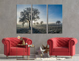 Snow Covered Trees Canvas Print #7126