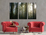 Dense Forest Canvas Print #7111