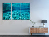 Ocean Floor Canvas Print #7147