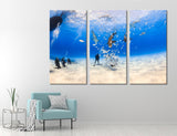 Diving Canvas Print #7164