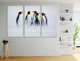 Penguins Canvas Print #8014