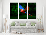 Scarlet Macaw Canvas Print #8029
