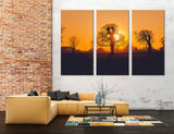 Solar Rays Pass Tree Branches Winter Canvas Print #7122