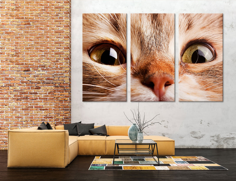 Red Cat Canvas Print #8157