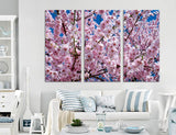 Sakura Branches Canvas Print #7550