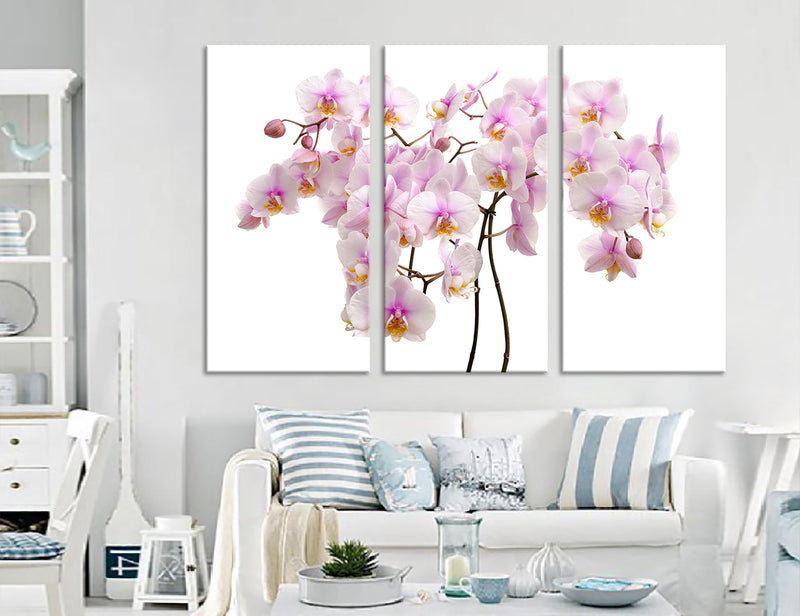Orchid Flowers Canvas Print #7544